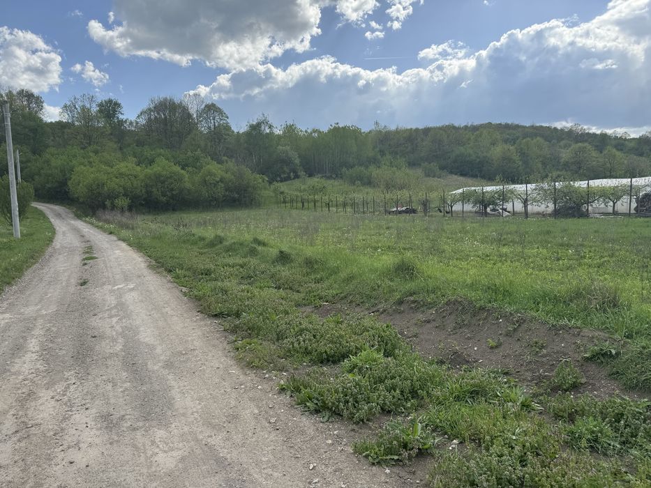 Teren intravilan Hunedoara Pestis 2600 mp