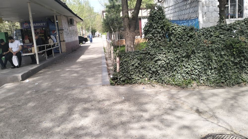 Спутник1 59д 3ком пот офис магазин