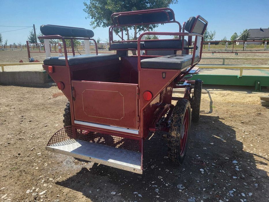 Atelaj Docar/maraton/trasura pentru 1 sau 2 cai