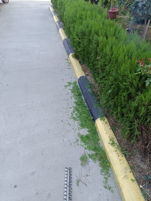 bog'bon sadovnik xizmati agranom 12-yillik