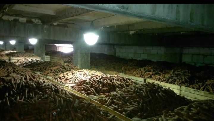 Продается участок 40 км от города