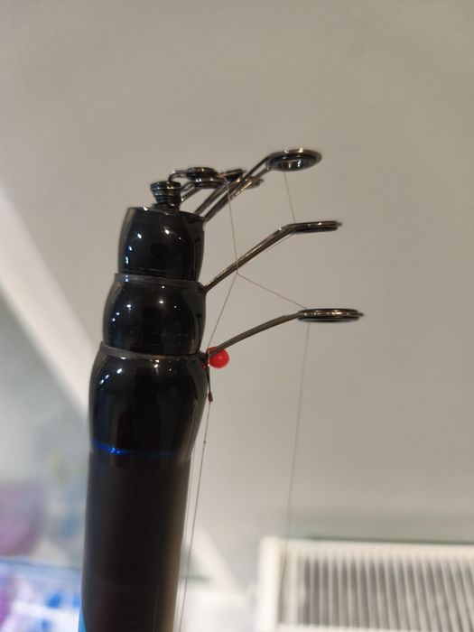 Болонезе и макара