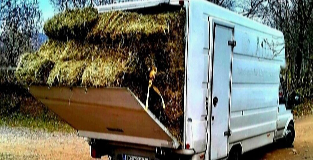 Baloti fan de gradina