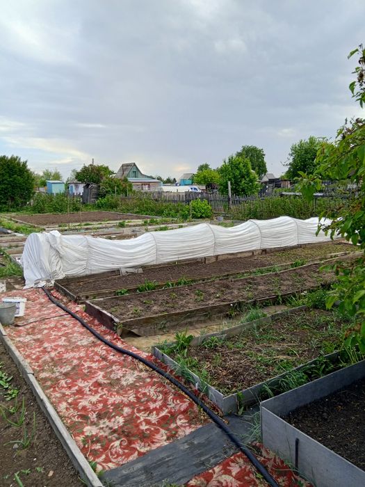 Срочно продам дачу