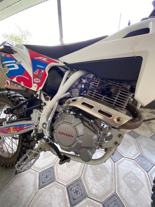 Zunghsen 250 Redbul