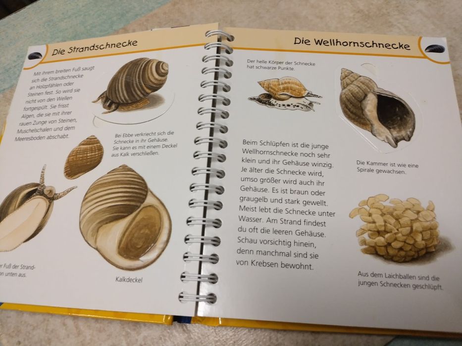 Книга енциклопедия на немски език