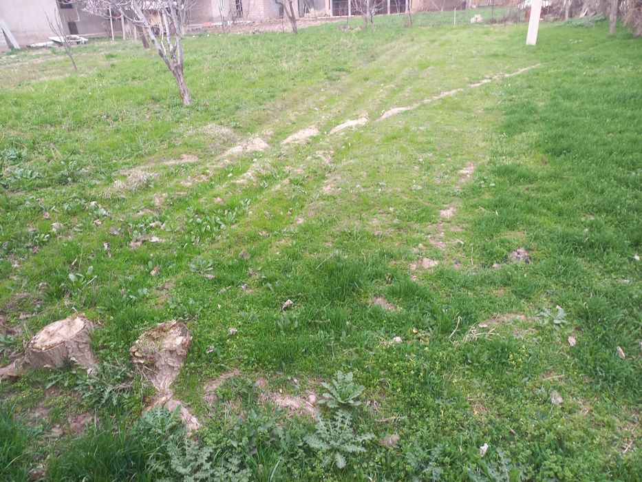 5 сотик ер сотилади