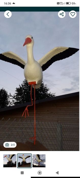 Barza cu aripile întinse