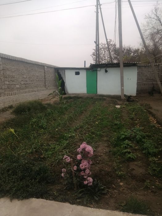 Sirdaryo tumani. Sholikor MFY. Maktab yonida.