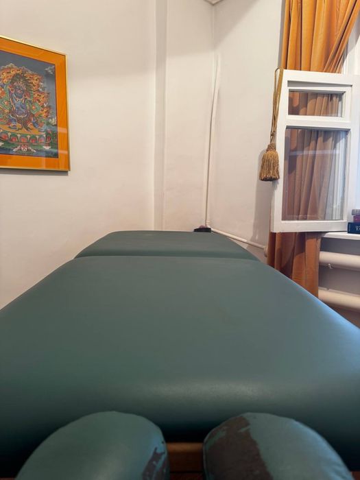 Профессиональный складной массажный стол Earthlife