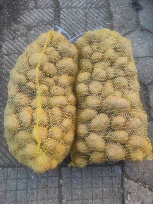 Картофи отлично качество цена 0.50 цента