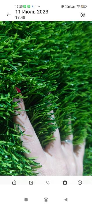 Продам газон премиального качества