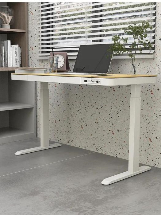 NOU Birou reglabil Flexispot E9W-EU