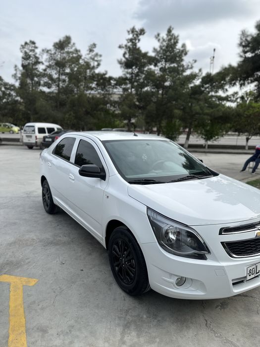 Cobalt midnight 2025