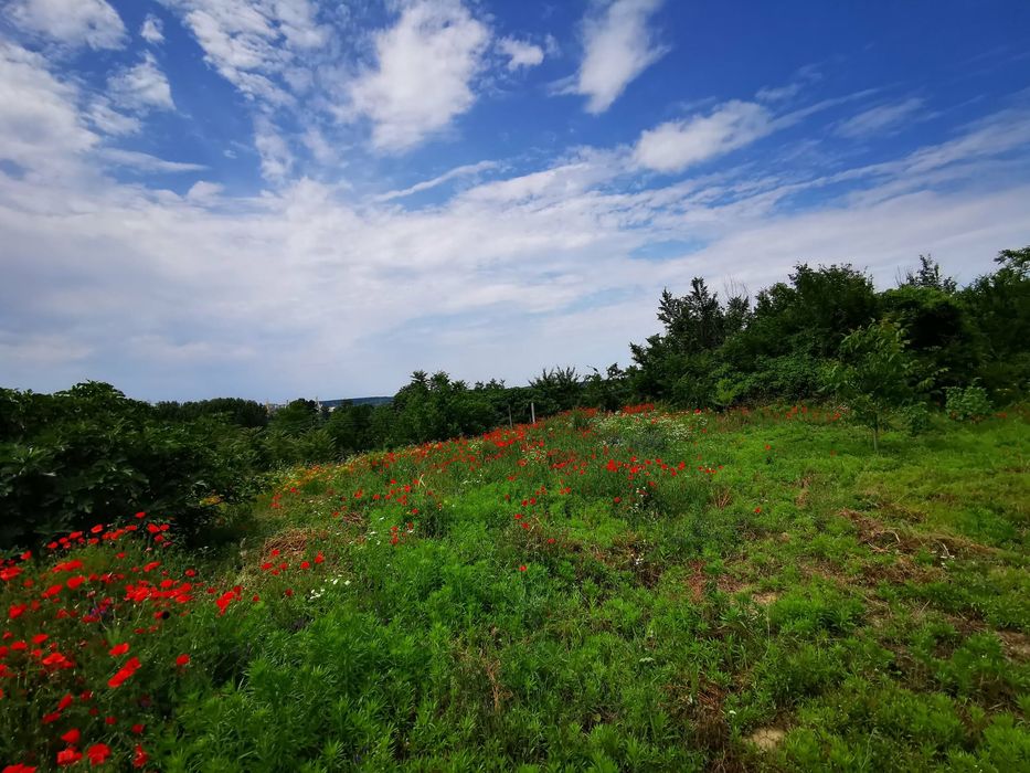 Продава се Къща в Лом - 100 кв.м за 102 €/кв.м - Снимка #1