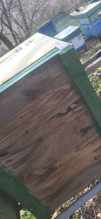 Vand cuti stupi 10 rame cu cat