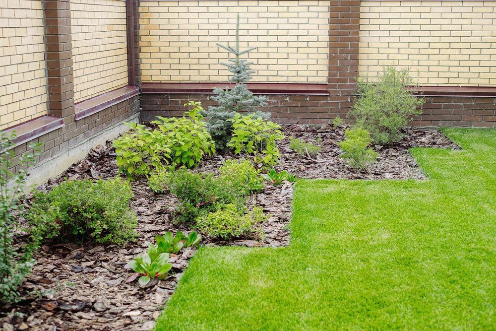 Озеленение | газон | автополив