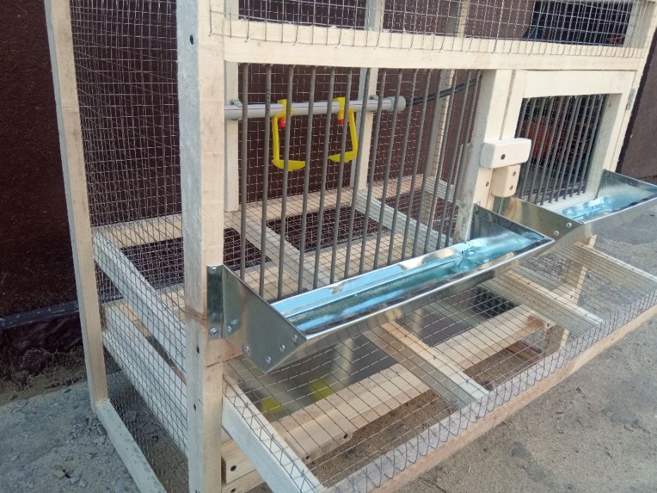 клетка для кур с откатом для яйц