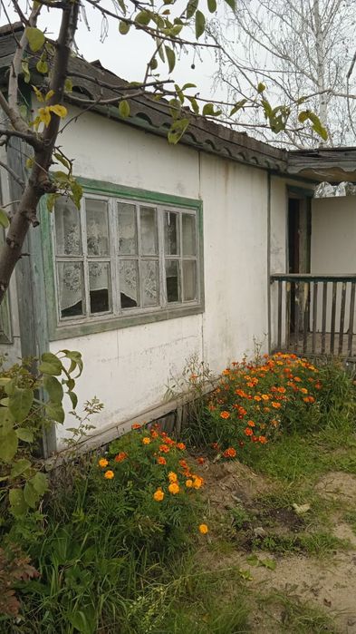 Продам дачный участок