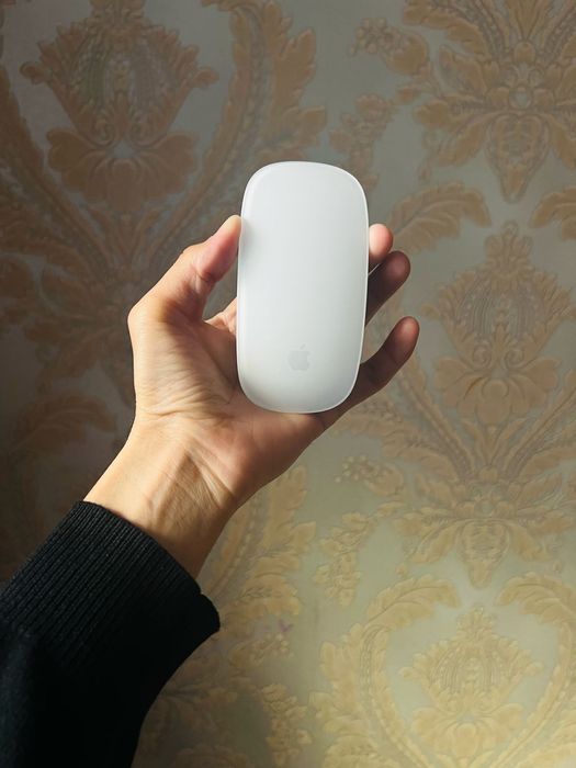 Мышка magic mouse