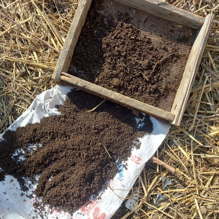 Биёгомус сотилади 1000 сум