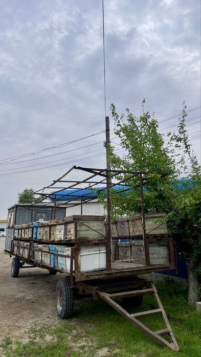 Пцеловод с вагон