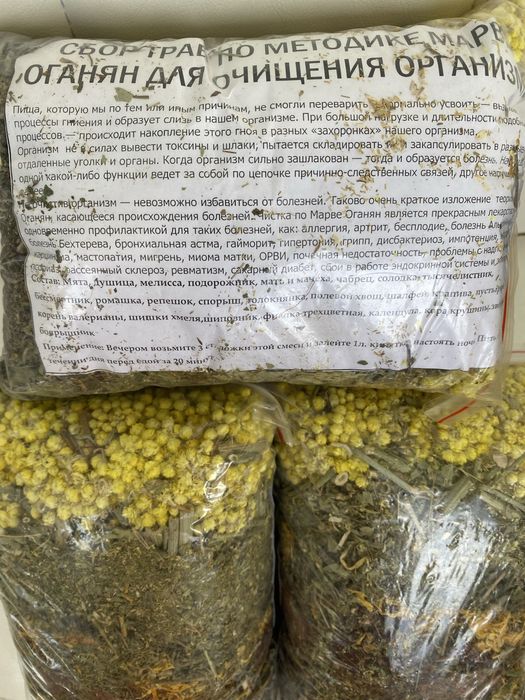 Чага против онкологии и вирусов