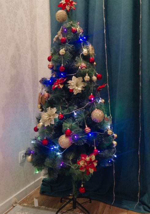 Продам елку срочно! Шырша сатамын срочно