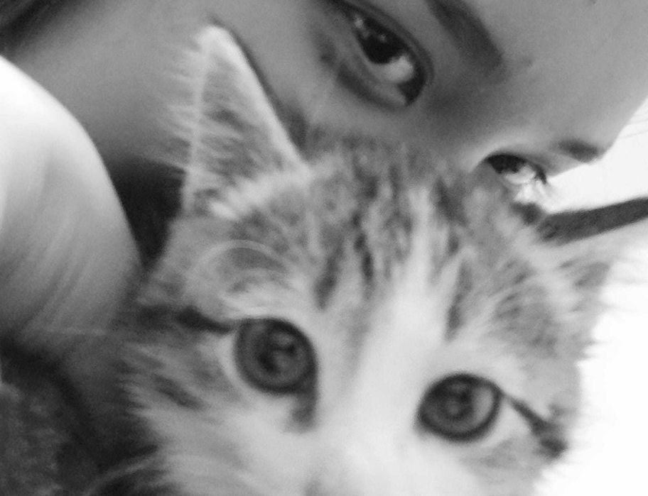 Отдам котёнка в добрые руки