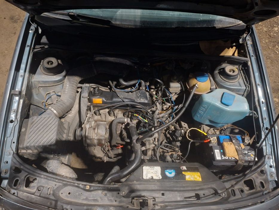 Продам живого пассата