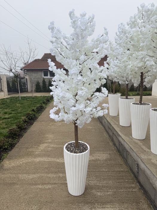 Декоративно дърво 2метра със саксия