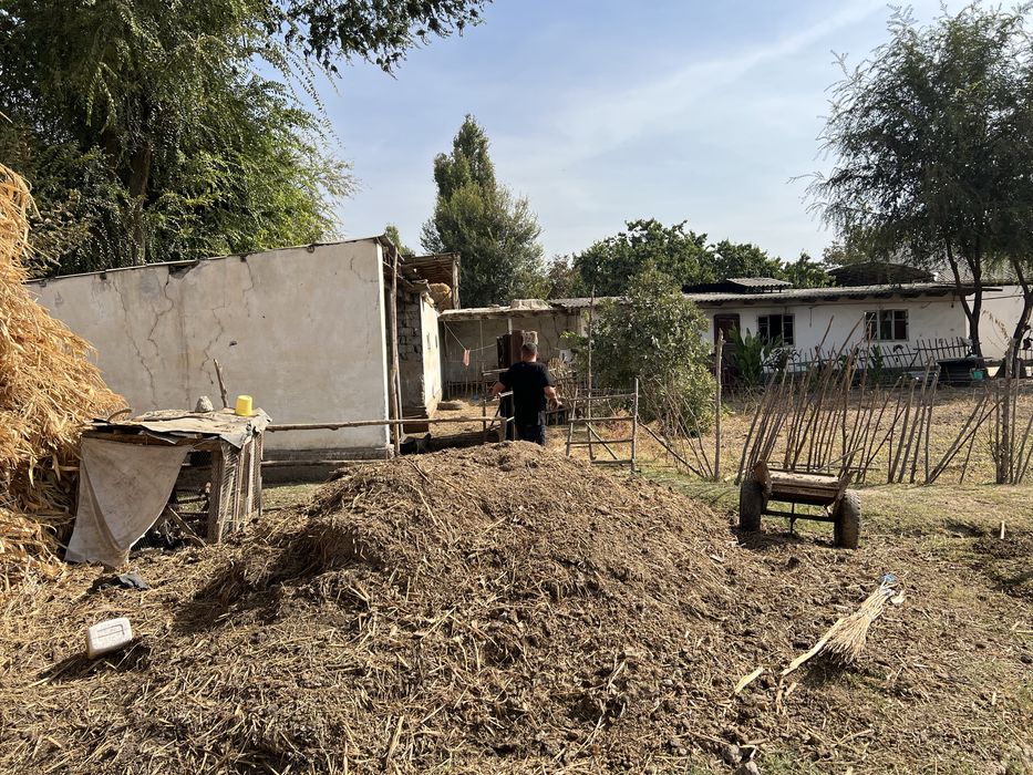 Manzil: Sirdaryo viloyat Sayxunobod tumani vodiy bitonka