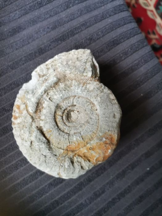 Фолис от древността