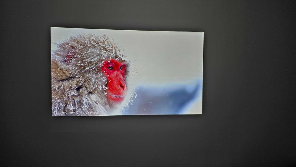 Проектор ViewSonic PJD5254