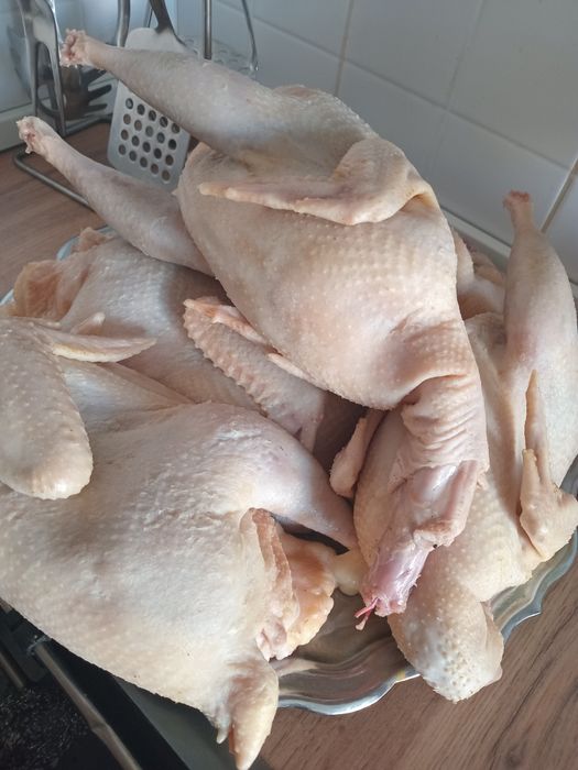 Продам кур вкусные очищенные