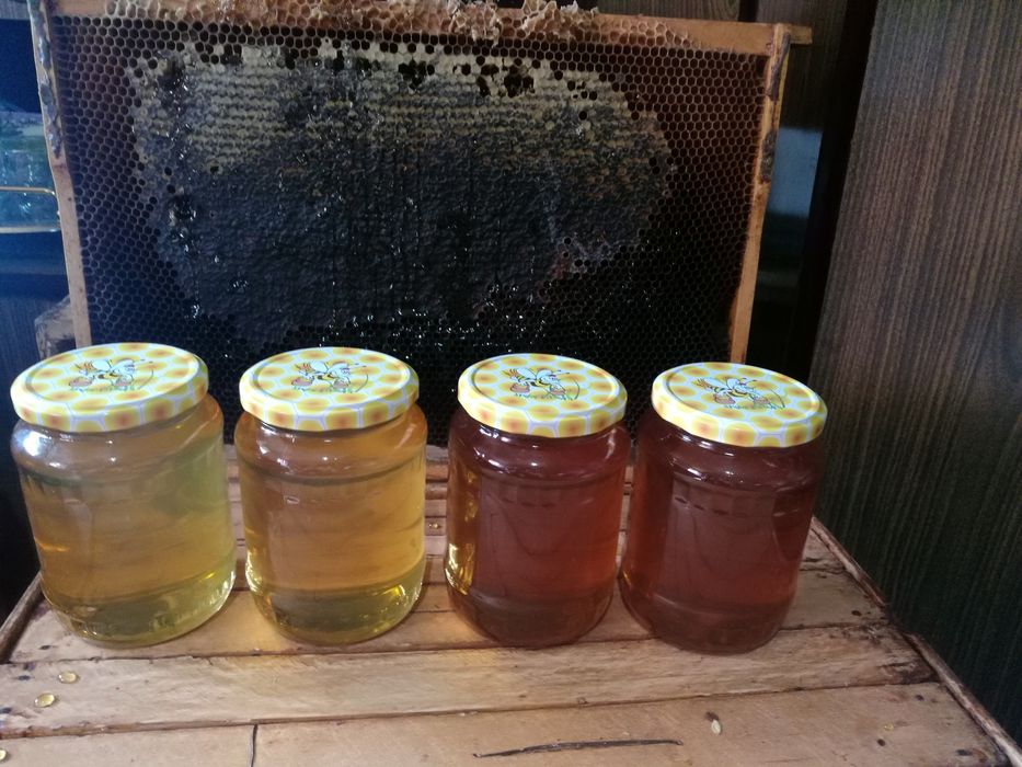 Vând Miere Salcâm și polifloră.