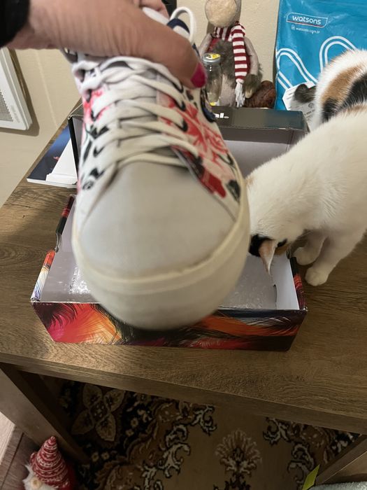 Кецове на испанската марка Desigual