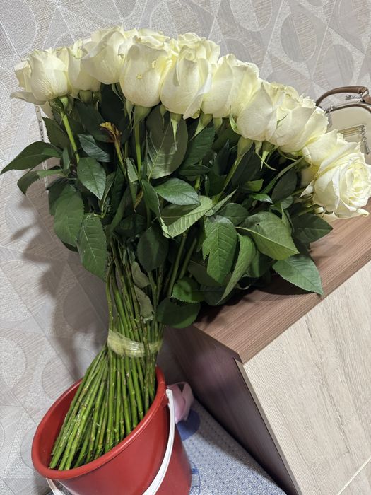 101 роза продаююю