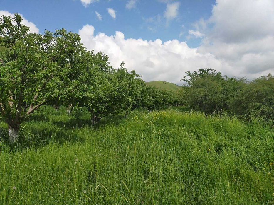 Jizzax Baxmal dam olish maskani sotiladi