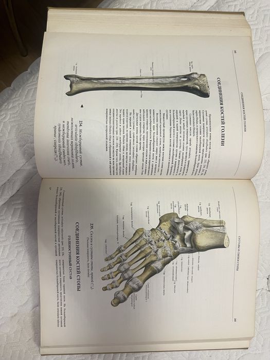 Атласи по Анатомия на Човека том 1, 2 и 3 Синелников