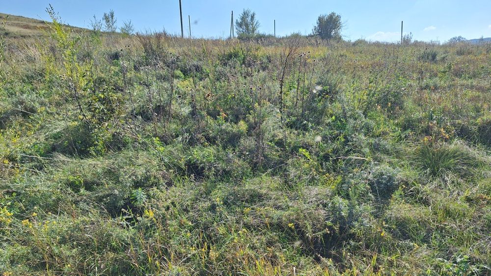 Продам участок на КШТ 13сот