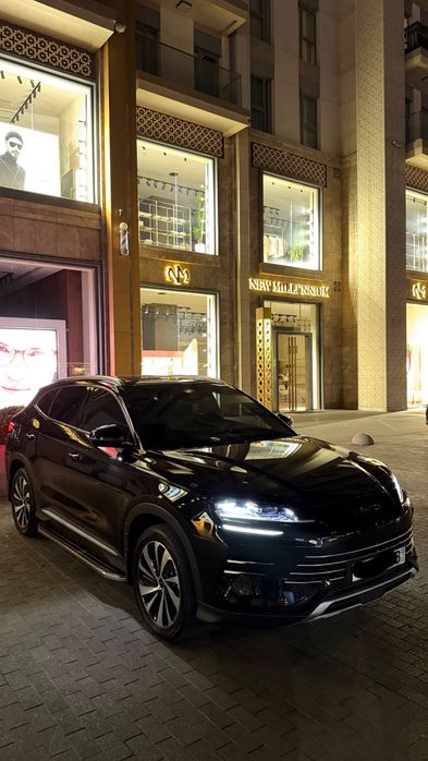 BYD Champion Гибрид 150км