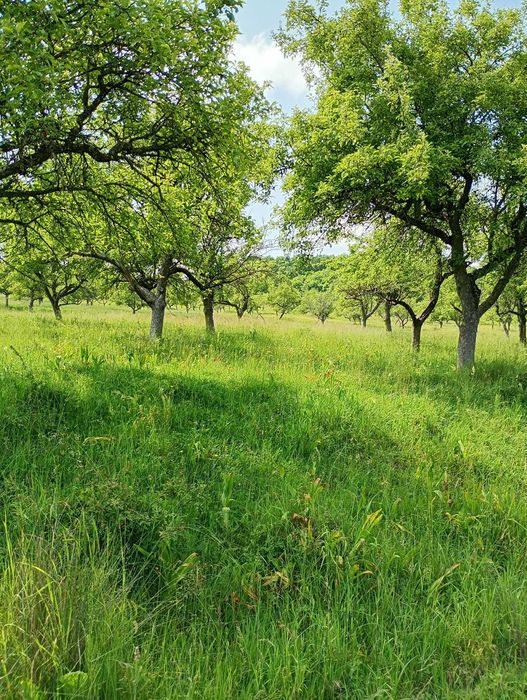 Teren extravilan de vanzare, zona Drumul Tarpiului, rid Subcetate