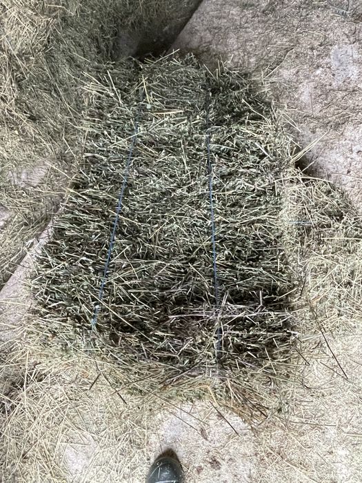 Vand Baloti lucerna calitatea întai