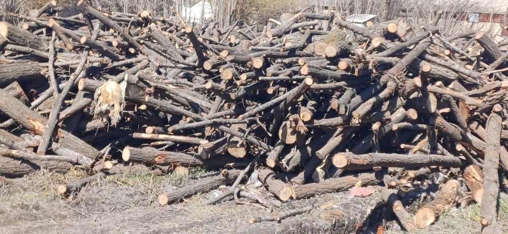 Продам на дрова чурки пилинные