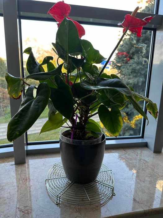 Метална решетка ф200 и ф250