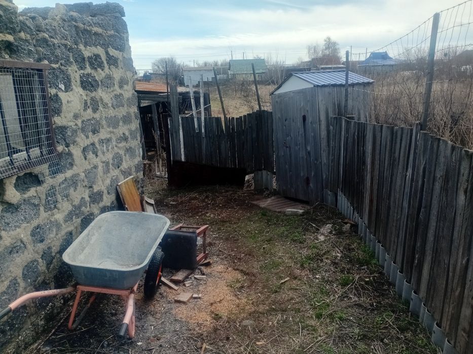 Продам земляника