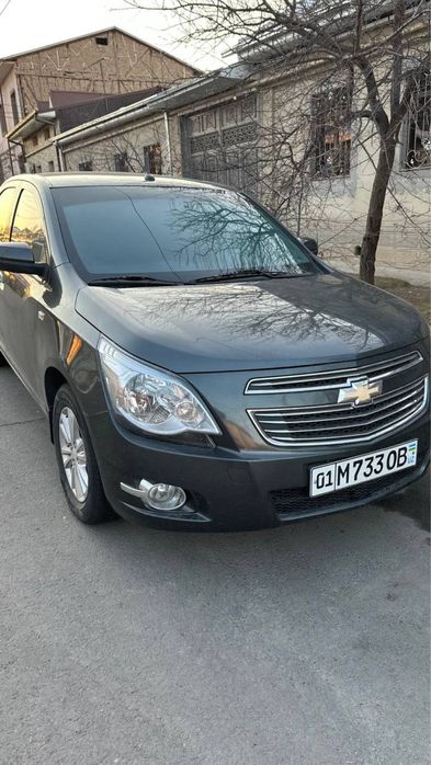 Cobalt ideal xolatta