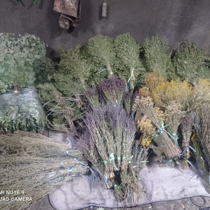 Веники для бани и травы