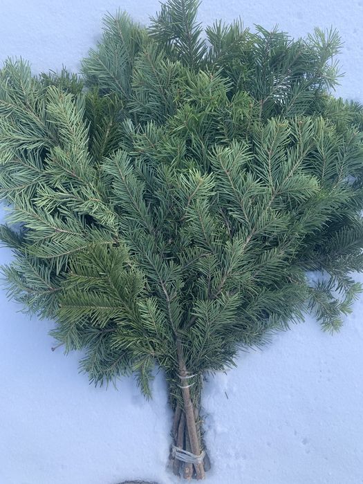 Продаю пихтовые веники!!!